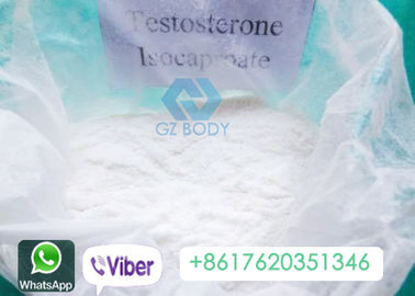 Isocaproate Testosterone Anabolic Steroid For Mens Muscle Growing CAS 15262-86-9